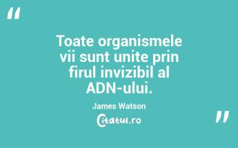 Fiecare ființă vie este rezultatul unui lung lanț de supraviețuire și adaptare. Stephen Jay Gould...