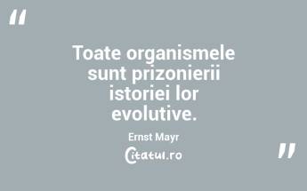 Când studiem natura, studiem însăși originea și destinul nostru. Rachel Carson...