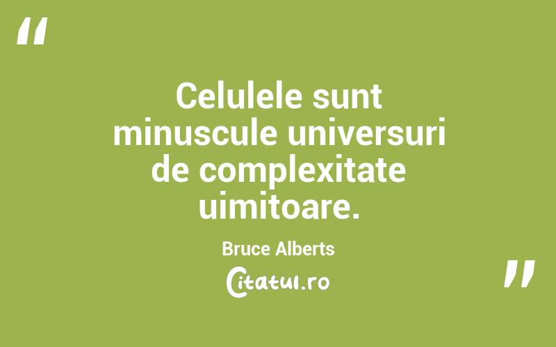 Celulele sunt minuscule universuri de complexitate uimitoare. Bruce Alberts
