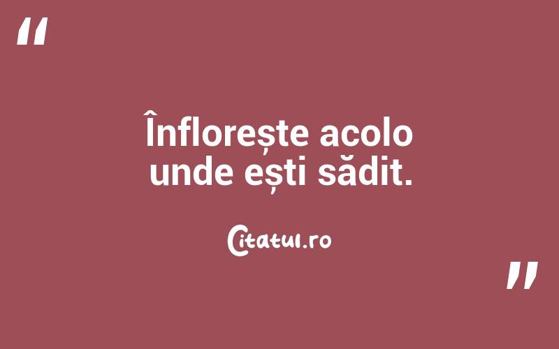 Înflorește acolo unde ești sădit.
