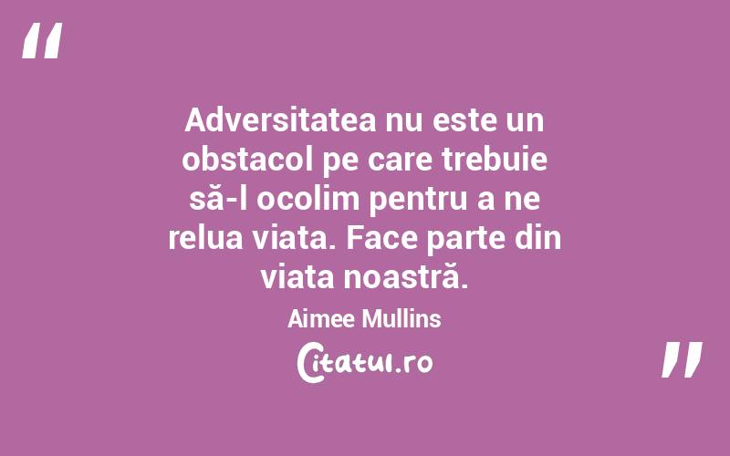 Adversitatea nu este un obstacol pe care trebuie să-l ocolim pentru a ne relua viața. Face parte din viața noastră. Aimee Mullins