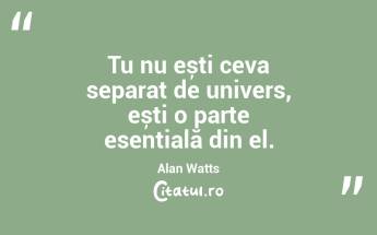 Nu încerca să controlezi viitorul, ci fii complet prezent în clipa de față. Alan Watts...