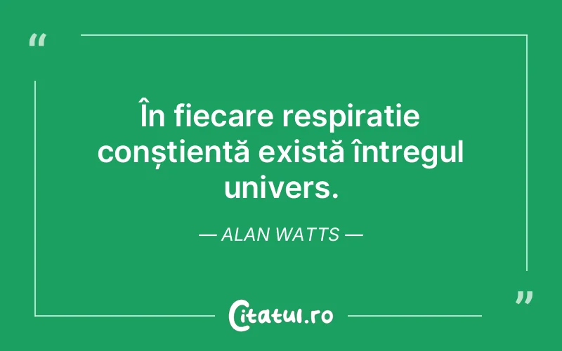 Citat Alan Watts - citate viata
