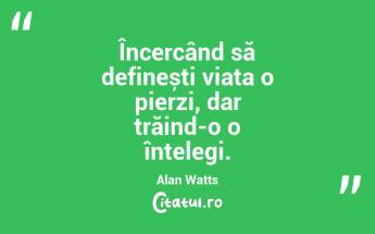 Eul este doar o convenție socială, nu o realitate esențială. Alan Watts...