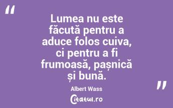 Viața nu este despre profit, ci despre frumusețe. Albert Wass...
