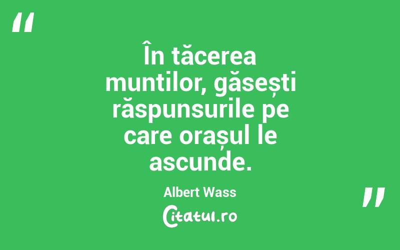În tăcerea munților, găsești răspunsurile pe care orașul le ascunde. Albert Wass
