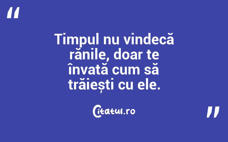 Timpul nu vindecă rănile, doar te învață cum să trăiești cu ele.
