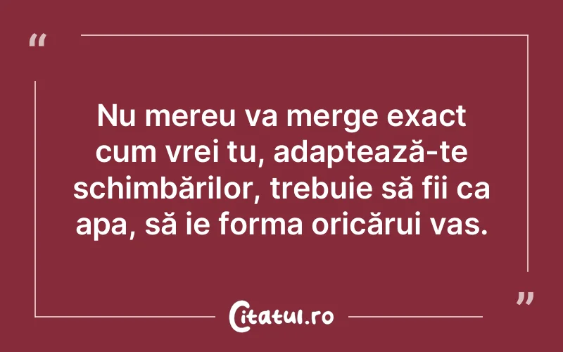 Nu mereu va merge exact cum vrei tu, adaptează-te schimbărilor, trebuie să fii ca apa, să ie forma oricărui vas.