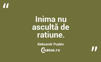 Dacă trebuie să țipi pentru a-ți susține punctul de vedere, probabil că greșești. Aleksandra Ninkovic...