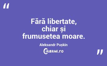 Ceața este mai periculoasă decât întunericul, deoarece oferă iluzia că vezi. Aleksandra Ninkovic...