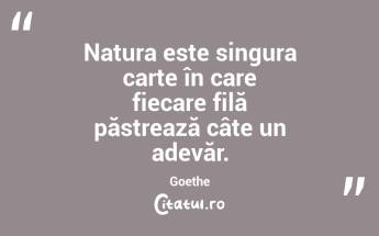 Viața nu-ţi spune nimic, dar încet, încet, te învață totul....