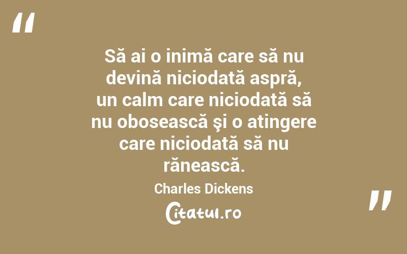 Să ai o inimă care să nu devină niciodată aspră, un calm care niciodată să nu obosească şi o atingere care niciodată să nu rănească. Charles Dickens 
