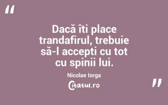 Irealizabil - să împaci pe fiecare. Maica Tereza...
