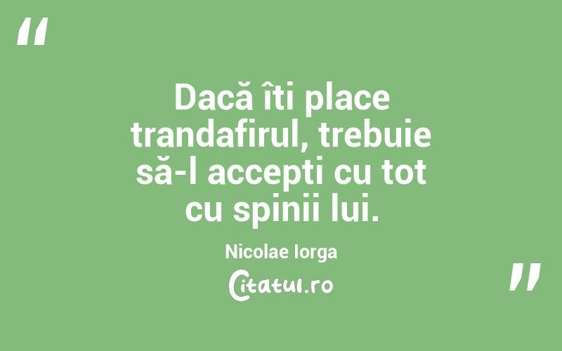 Dacă îți place trandafirul, trebuie să-l accepți cu tot cu spinii lui. Nicolae Iorga
