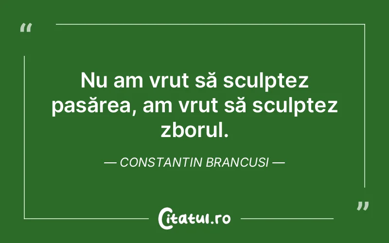 Citat Constantin Brancusi - citate viata