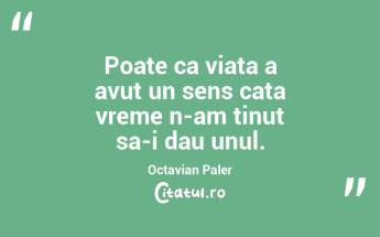 Poate ca viata a avut un sens cata vreme n-am tinut sa-i dau unul.  Octavian Paler...
