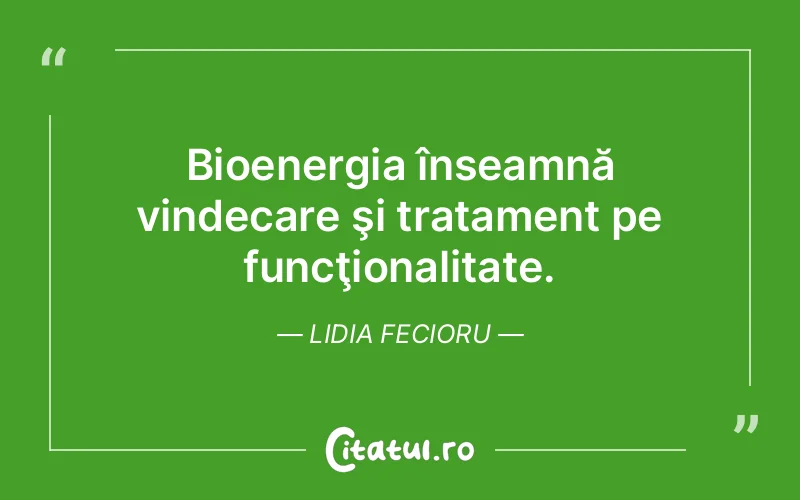 Citat Lidia Fecioru - citate viata