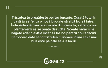 Viaţa o cântărim în ani, o preţuim ...