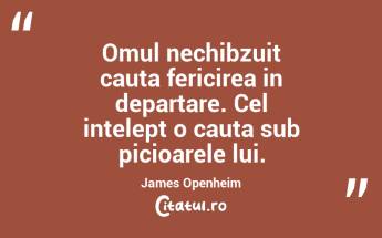 Omul nechibzuit cauta fericirea in departare. Cel intelept o cauta sub picioarele lui. James Openheim...
