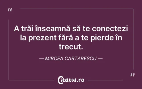 Citat Viață - Citatul.ro