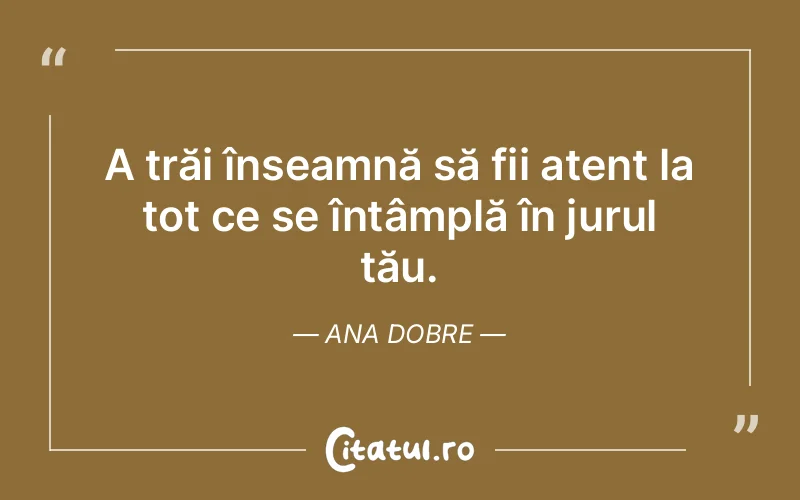 Citat Ana Dobre - citate viata