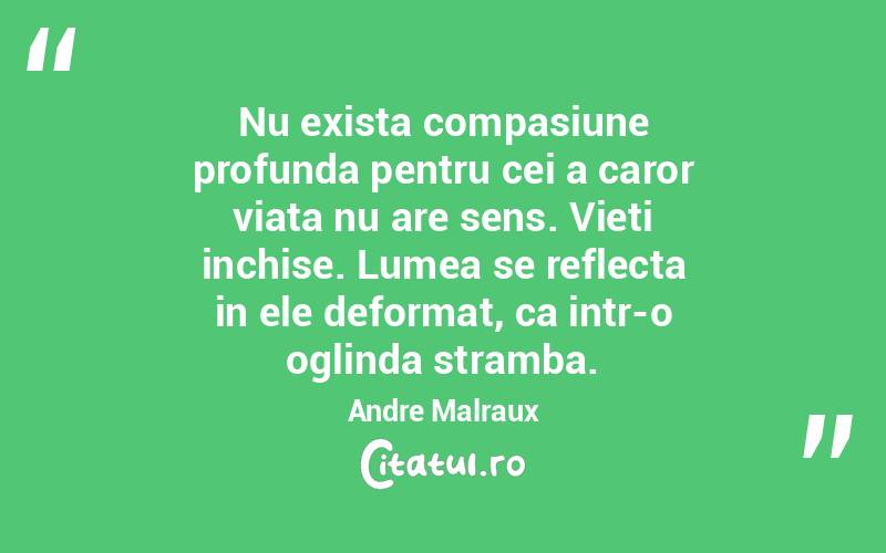 Nu exista compasiune profunda pentru cei a caror viata nu are sens. Vieti inchise. Lumea se reflecta in ele deformat, ca intr-o oglinda stramba.  Andre Malraux