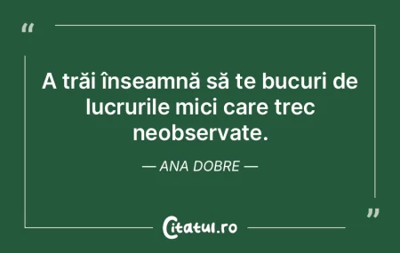 Fiecare obstacol ascunde o lecție despr...