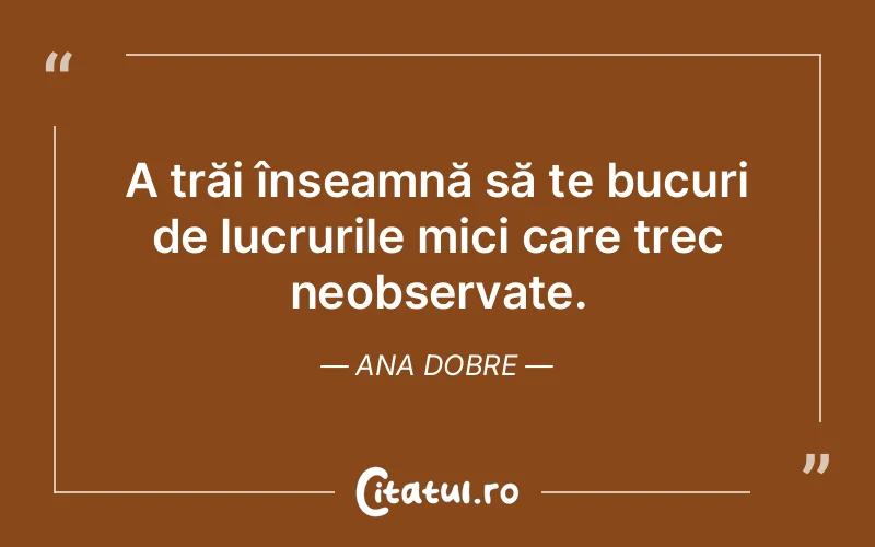 Citat Ana Dobre - citate viata