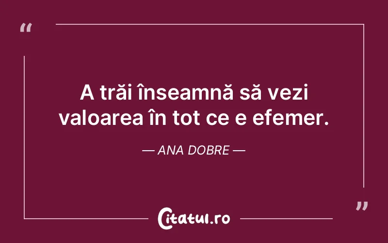 Citat Ana Dobre - citate viata