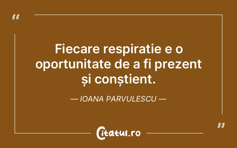 Citat Ioana Parvulescu - citate viata