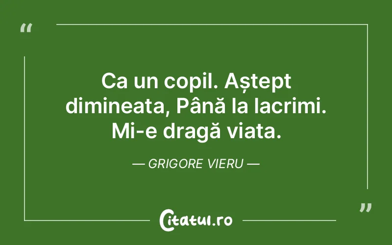 Citat Grigore Vieru - citate viata
