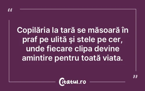 Citat Viață - Citatul.ro