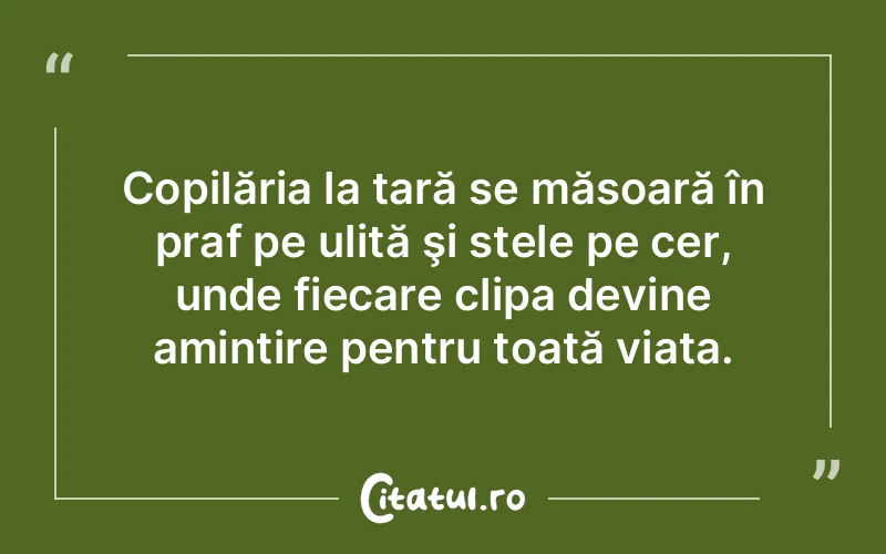 Citat Autor necunoscut - citate viata