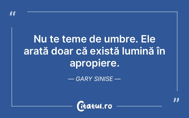 Citat Gary Sinise - citate viata