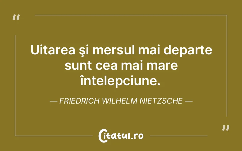 Citat Friedrich Wilhelm Nietzsche - citate viata