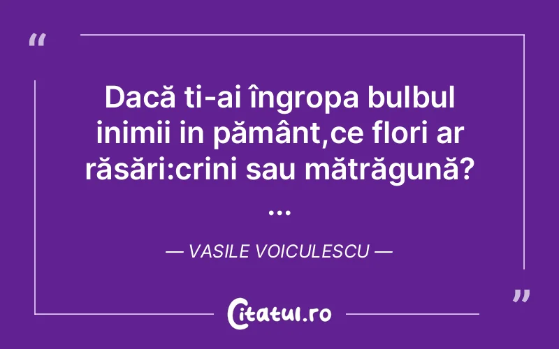 Citat Vasile Voiculescu - citate viata