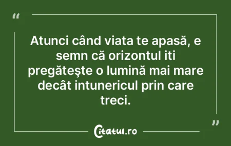 Cine face totdeauna ce vrea, face rareor...