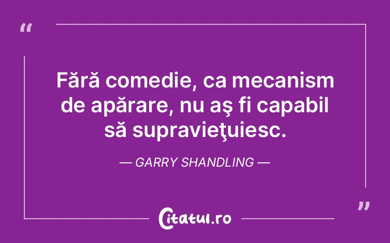 Citat Garry Shandling - citate viata