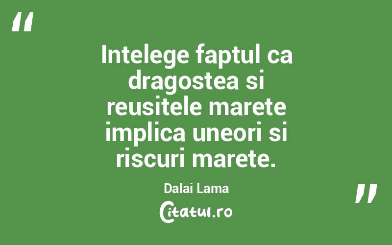 Intelege faptul ca dragostea si reusitele marete implica uneori si riscuri marete. Dalai Lama