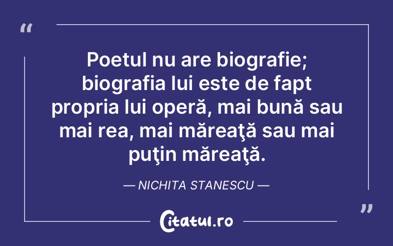 Citat Nichita Stanescu - citate viata