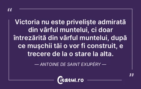 Victoria va merge in pas de atac, vultur... Victoria va merge in pas de atac, vultur...