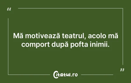 A fi neînțeles înseamnă că nu ai re... A fi neînțeles înseamnă că nu ai re...