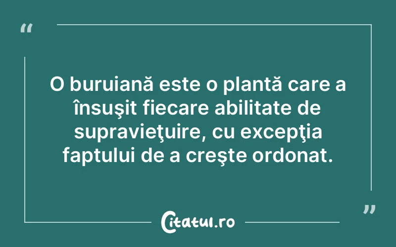 Citat Autor necunoscut - citate viata