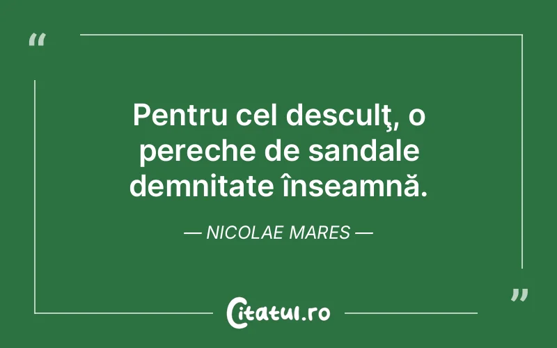 Citat Nicolae Mares - citate viata