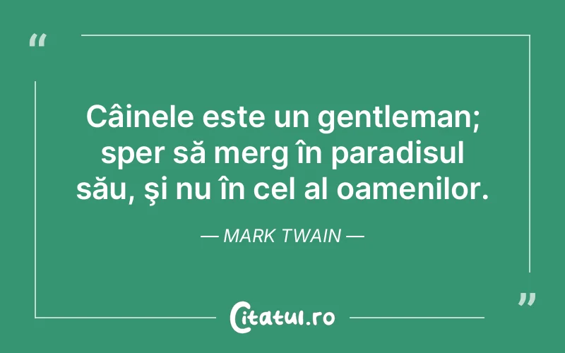 Citat Mark Twain - citate viata