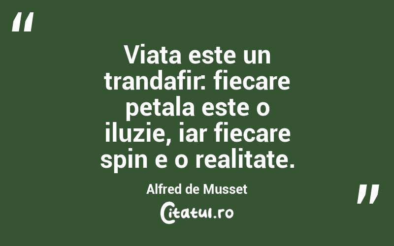 Viata este un trandafir: fiecare petala este o iluzie, iar fiecare spin e o realitate. Alfred de Musset