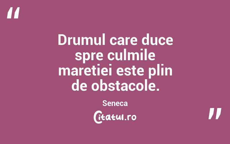 Drumul care duce spre culmile maretiei este plin de obstacole. Seneca
