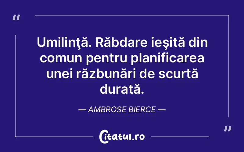 Citat Ambrose Bierce - citate viata