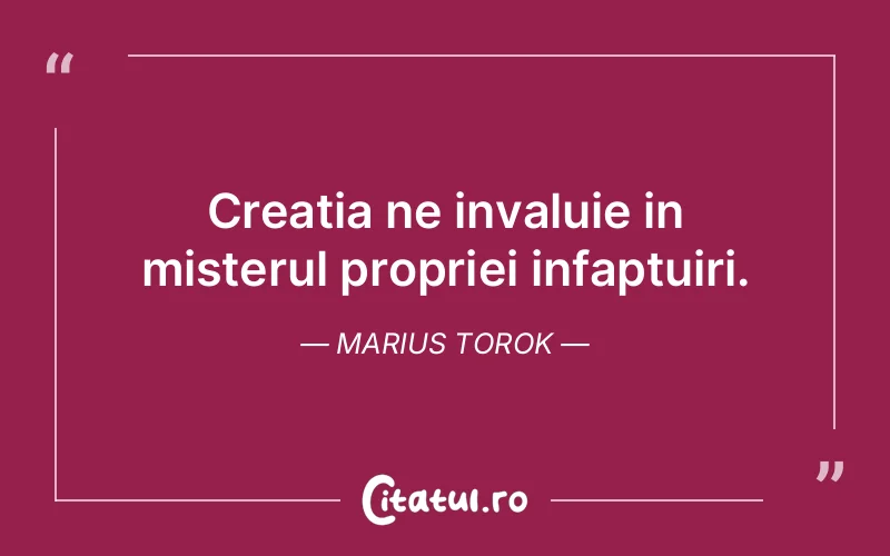 Citat Marius Torok - citate viata