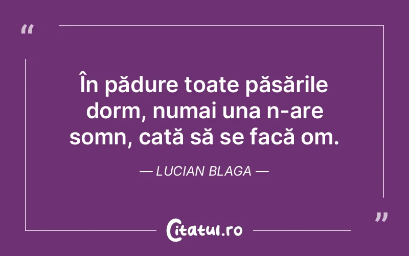Citat Lucian Blaga - citate viata